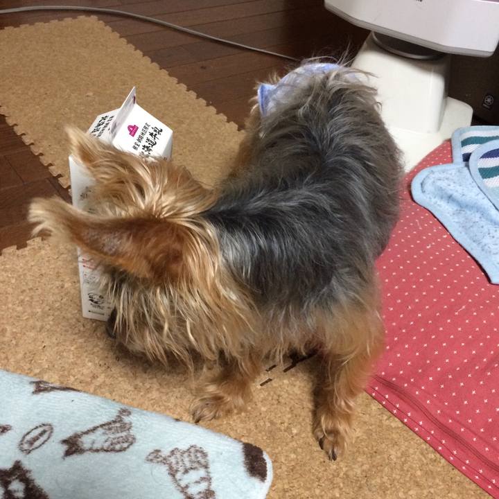 0f56ad4e 84fc 4788 96b3 a61d810cfa1c