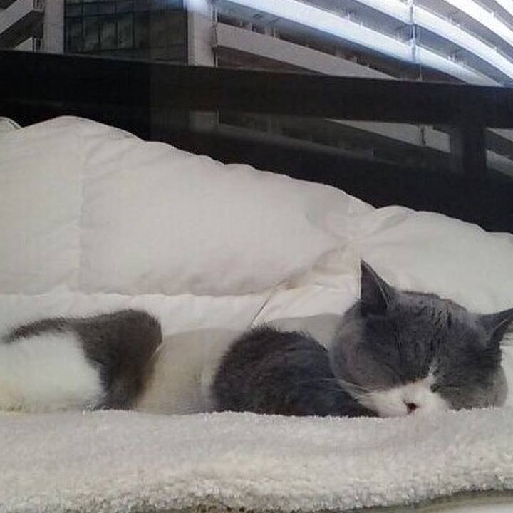 0f56b83e 5846 4114 9877 c3b879c50973