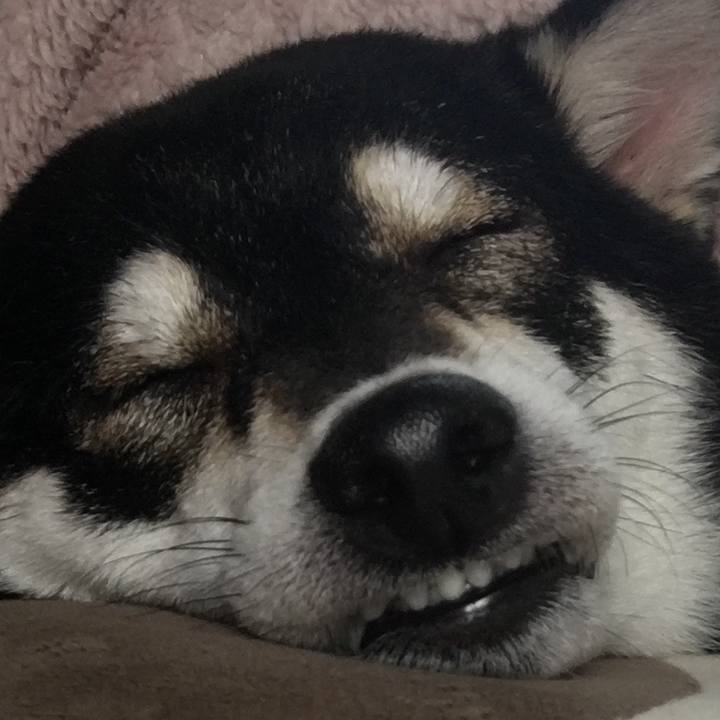 0f56fcf7 9d8e 49cb 9e84 62ee4059ad71