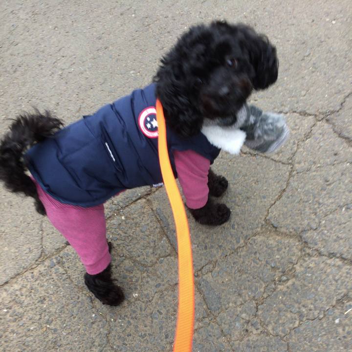 0f5800c7 49e5 414a 8373 fedfcb99cc00