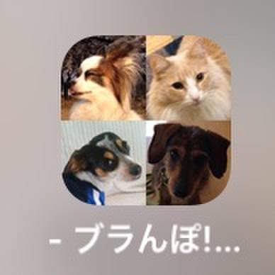 0f581d4e 8827 46e7 ba81 dfdc63408f57