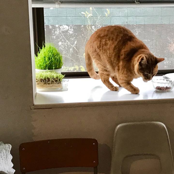 0f58359e def9 4680 9800 e14aade9ebaf