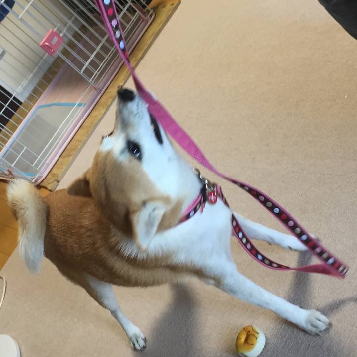 0f585159 d690 4f3f 862d 755426834efb