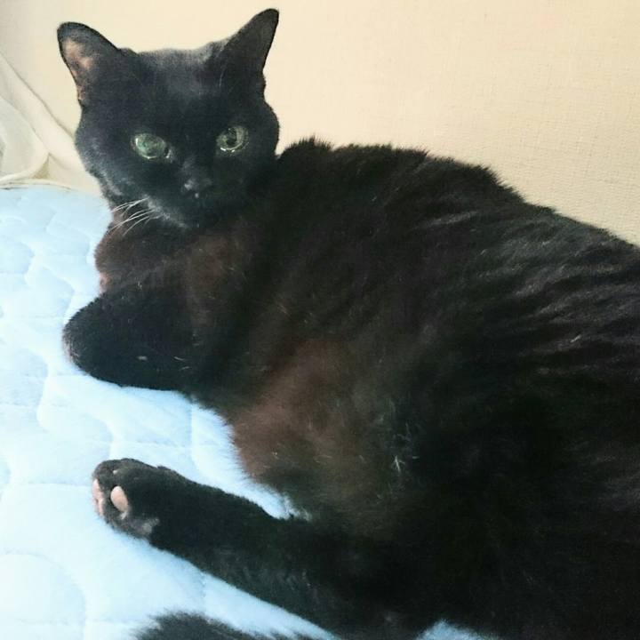 0f58767a 99e2 47e4 9fc3 e467d501a17b