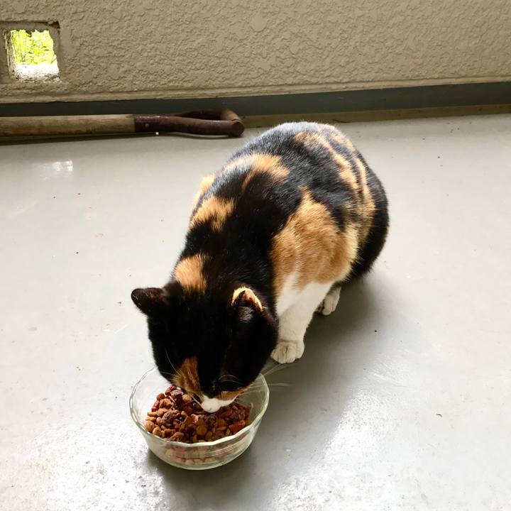 0f5891da b9d5 4ccd b61f 436116e97168