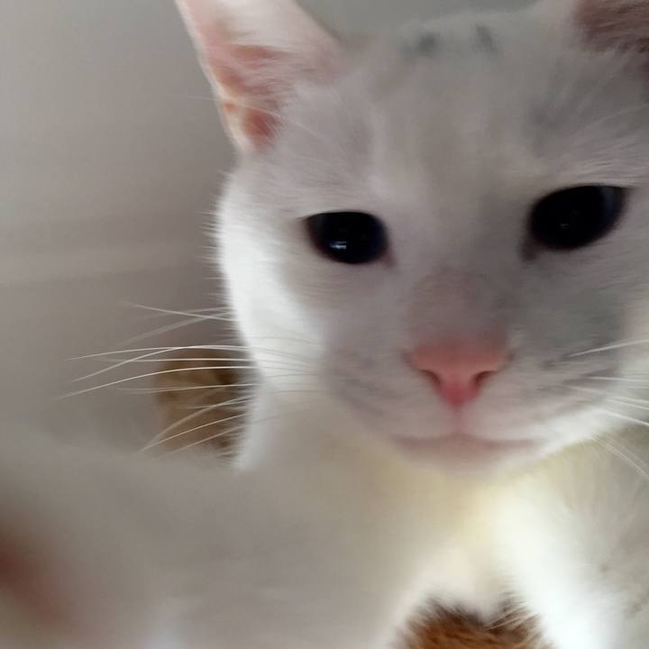 0f58de2b c071 4e6f b91d cf6093dacf65