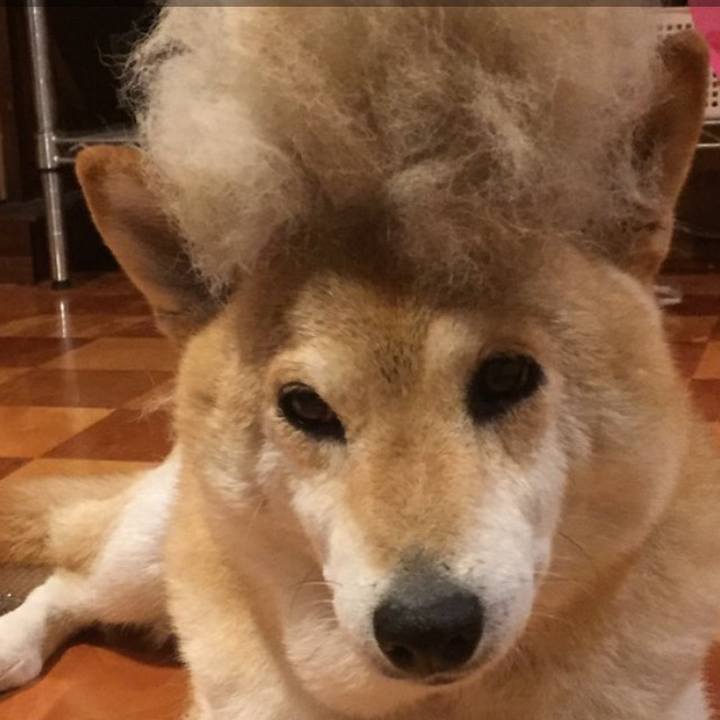 0f58f535 7067 4813 b39a c3d3aea1b15e