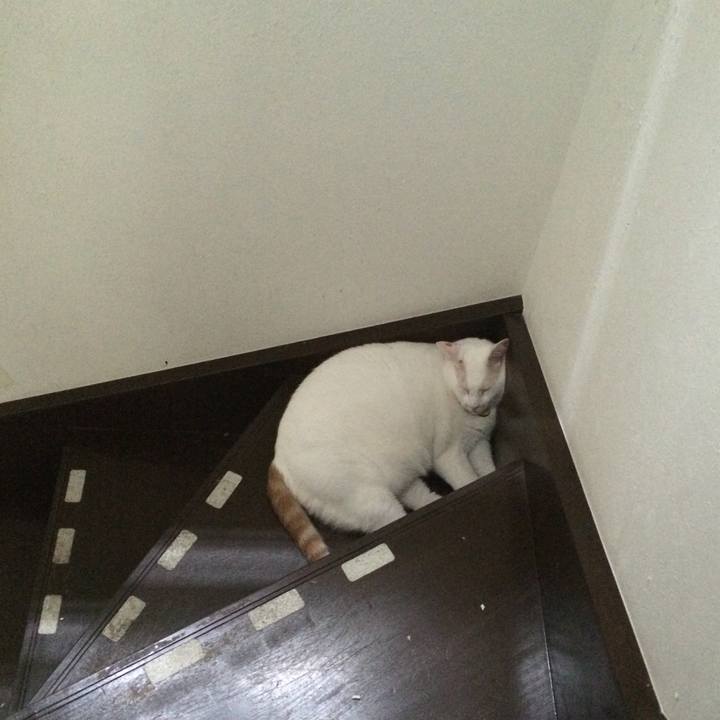 0f592db7 3e75 445c a30e 75094748c4fb