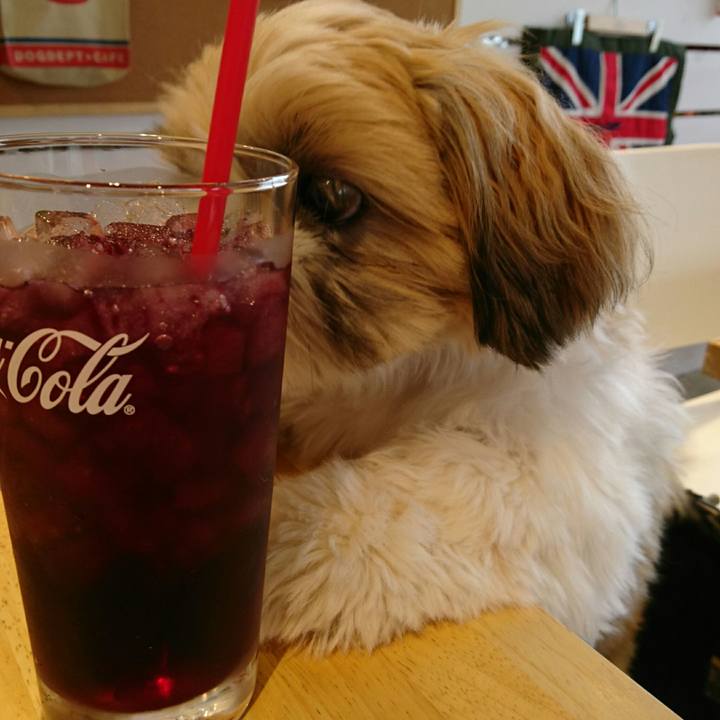 0f5989ad 31d9 4125 a769 0f4d6194cfb6