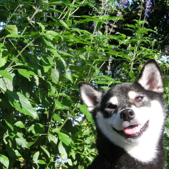 0f59e664 d4bf 4377 acb2 07ae64f1ae1f