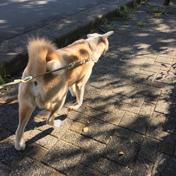 0f5a04a6 3eda 4a64 ae9d 2612ac7e3b28