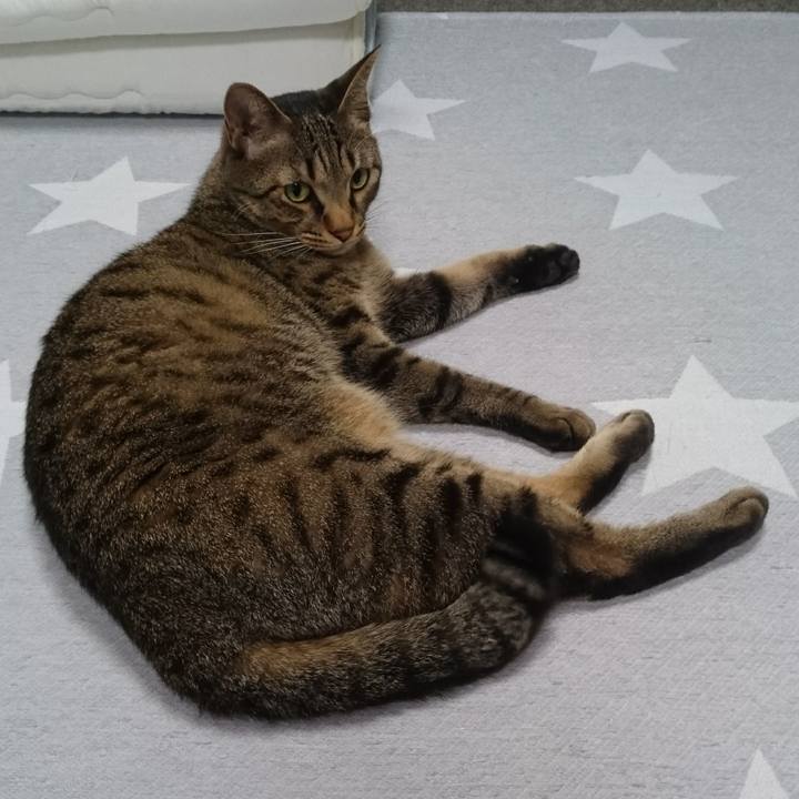 0f5a75a2 bd78 4b91 9a5a a9fe3077df95