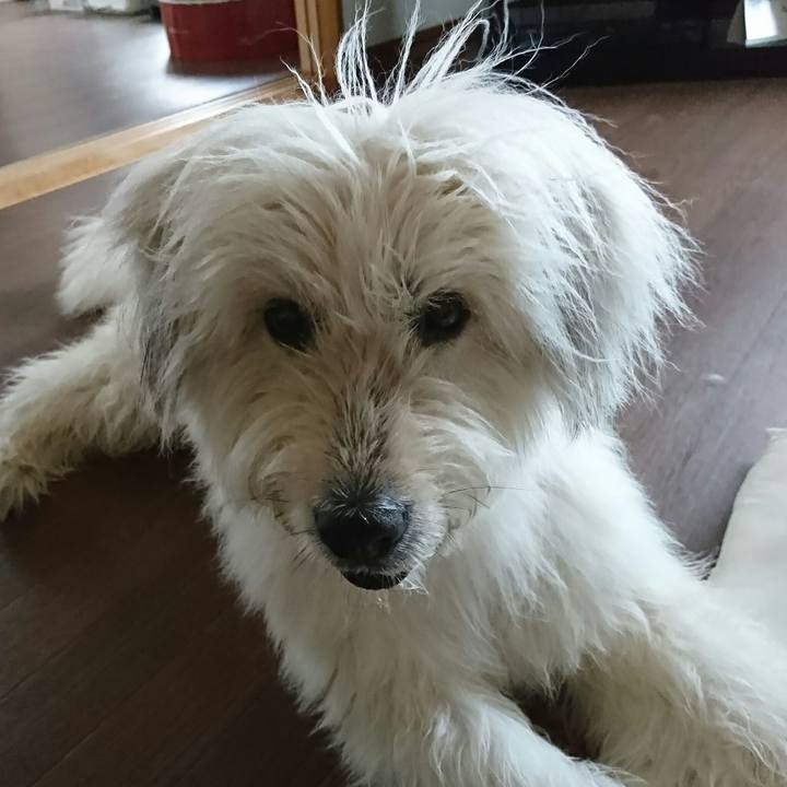 0f5a98b5 a1d8 4372 b9d5 14e39e0ce1f9