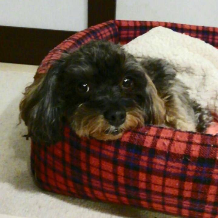 0f5ac4f3 935c 47da 9d6c e1c7fc782ba3