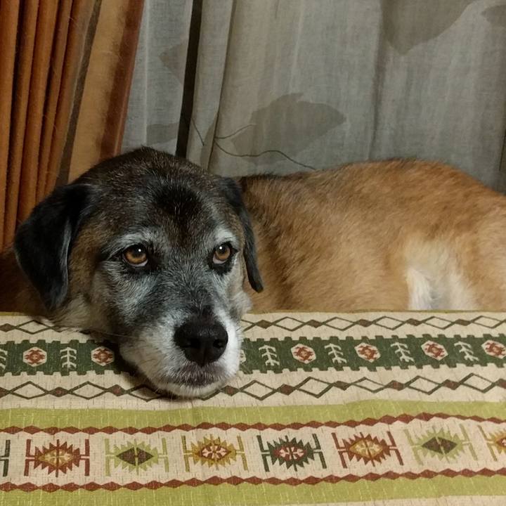 0f5b345c b8cb 4ce8 8291 5529d4e810c1