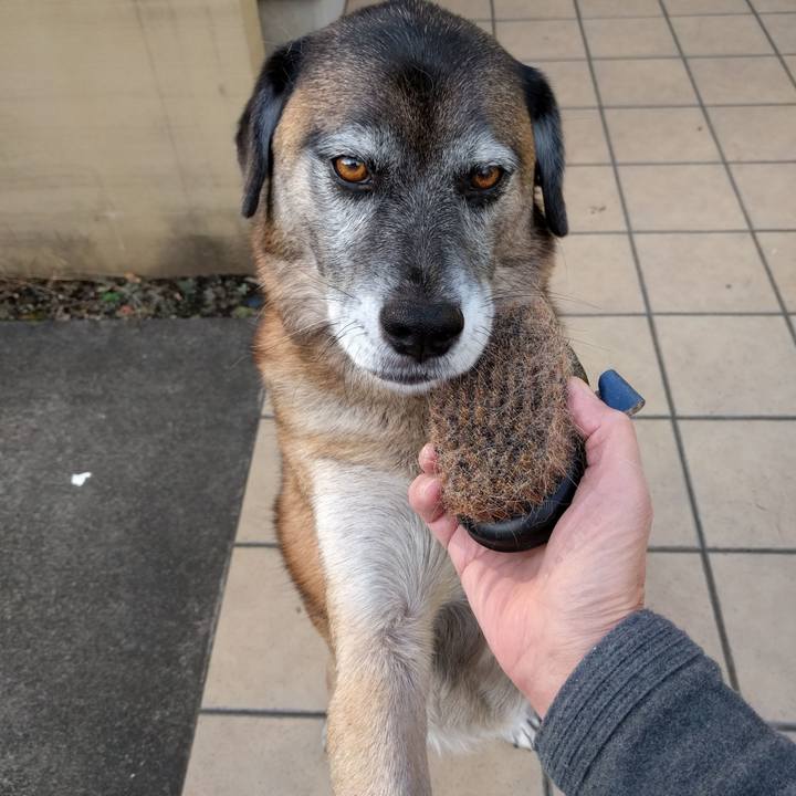 0f5be2e7 b074 4a63 af3b 38614f11d41e