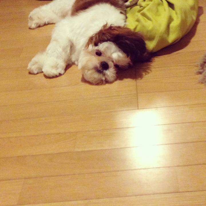 0f5c32f6 98b6 4389 a32f 6d42eb220b06