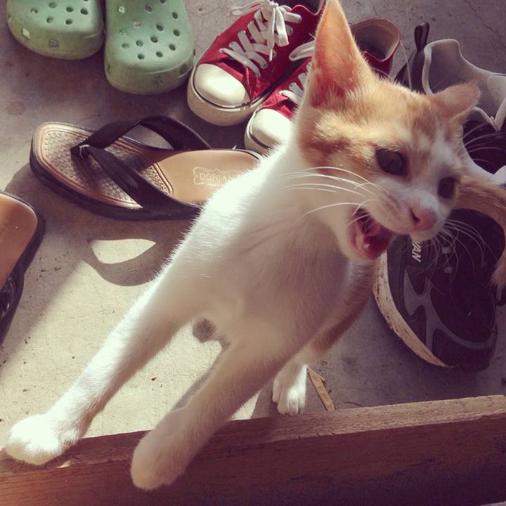 0f5c921d 2591 43fd ab58 0bbd164bd05e