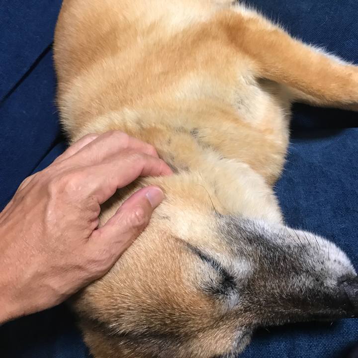 0f5c9dba 9237 49ec 8a86 afc437a87310