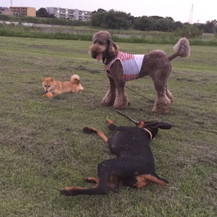 0f5cbb86 c163 4e5d a100 3ef49ba8f582