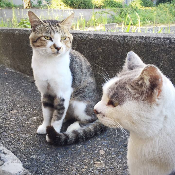 0f5d0b14 e851 4085 b5d9 9ddb44954804