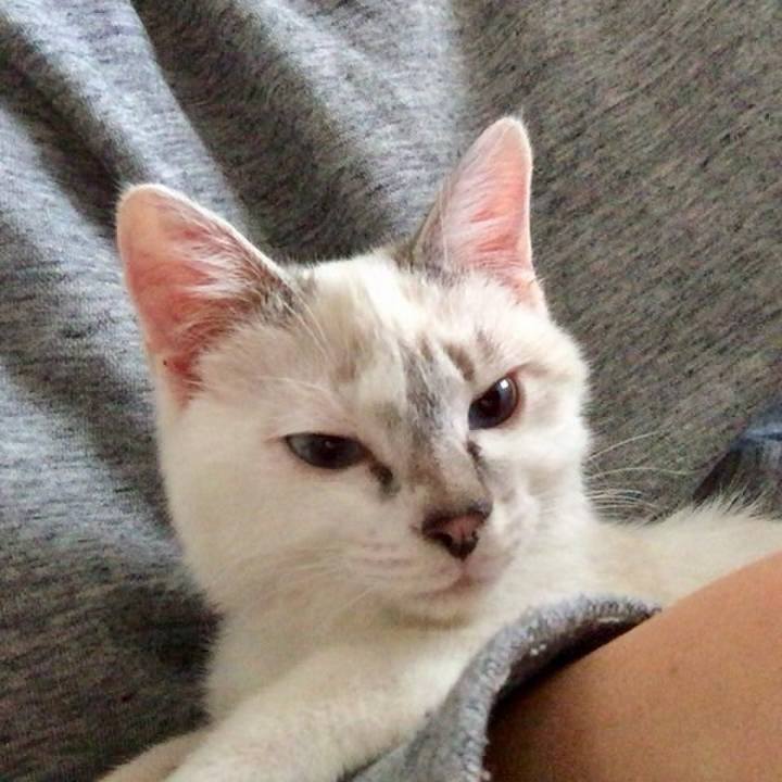 0f5d3811 e9fe 48da 8964 6d7bcb11a644