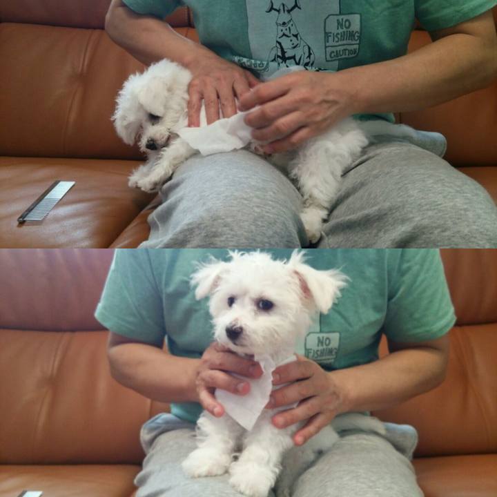 0f5dc225 d36b 4d68 ad2e dd47d10a89dd