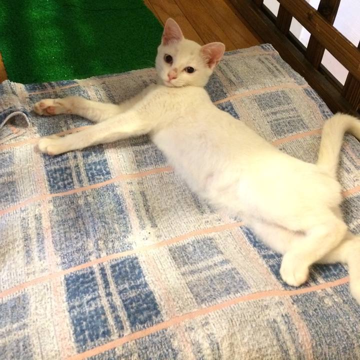 0f5dc9a3 3fd2 41e2 98e5 e8e2fcea7156