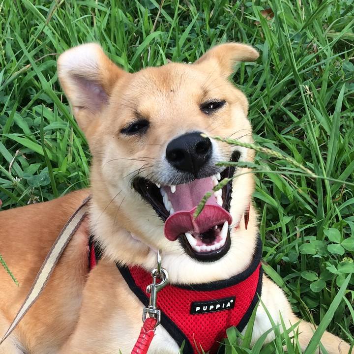 0f5ee5ce 622b 4f7b bdbd cbb0392140d2