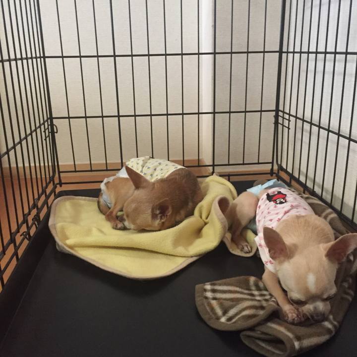 0f5ef473 9e13 489f 8774 97c87b2408de