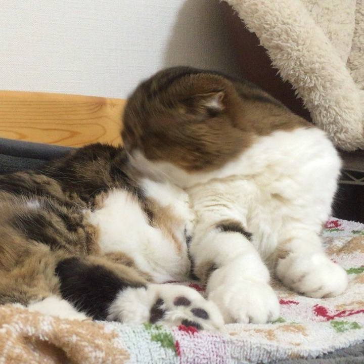 0f5fa327 5705 4218 9835 f1961093269f