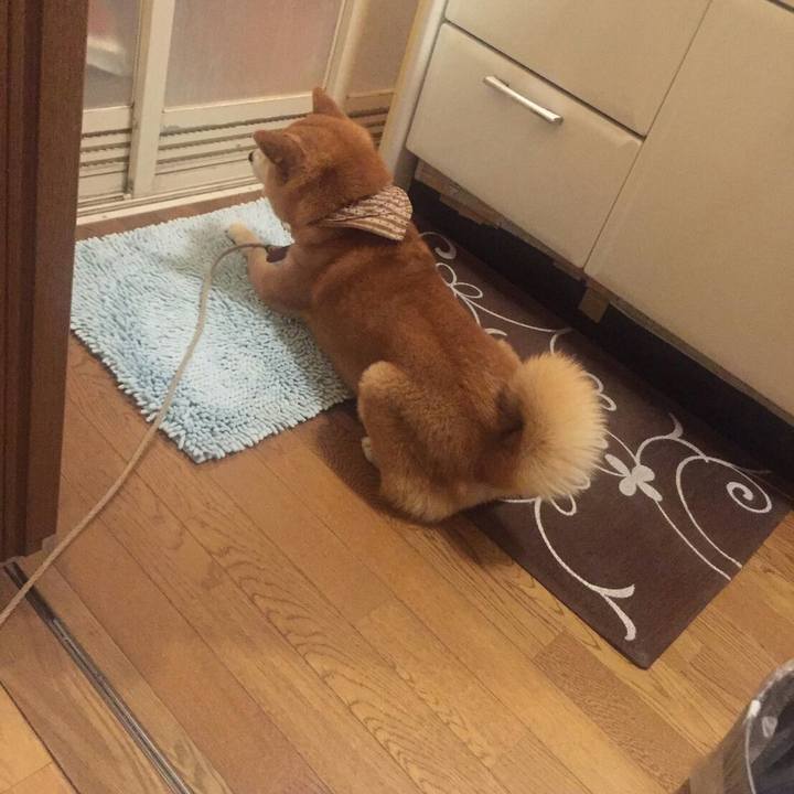 0f5fb649 d973 4961 b8e6 f0e61dc06c9d