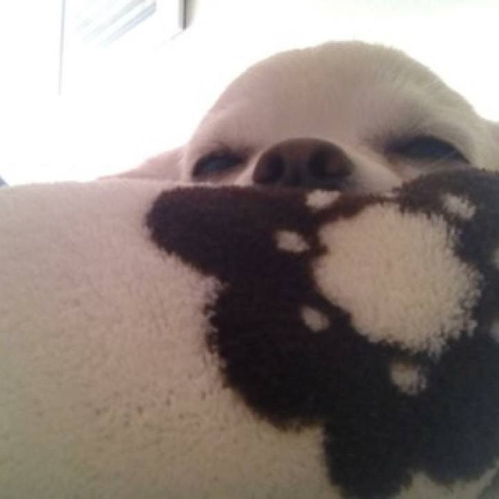 0f5fed1f d9e3 4b48 a88f 137684140175