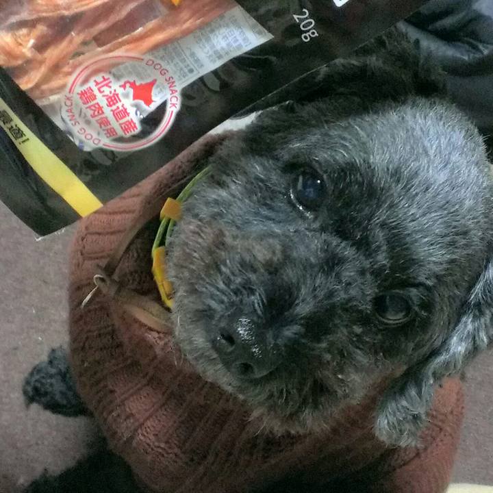 0f601157 49e9 48fc bfa2 87381f648267