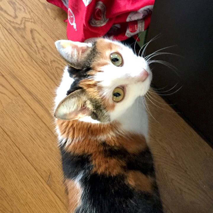 0f605203 d0a1 429d 9081 e9c6430996a7