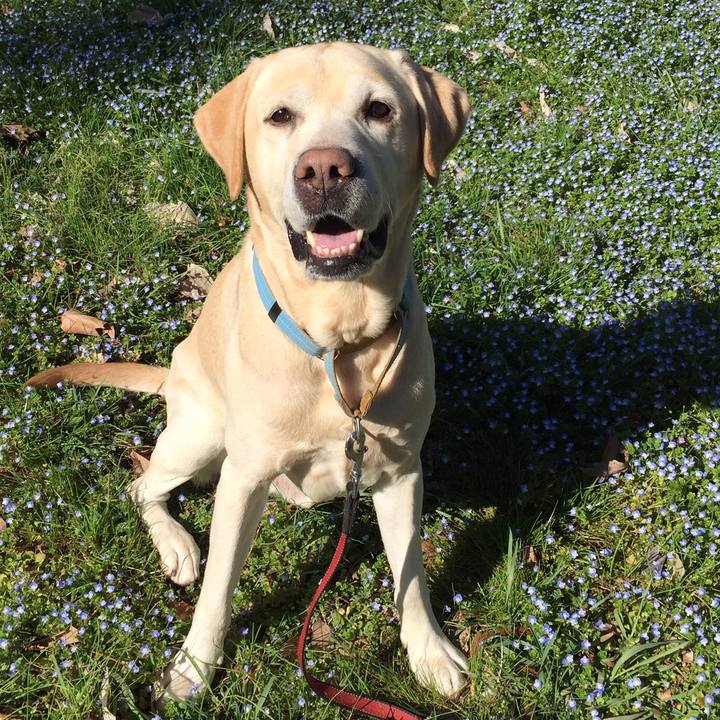 0f607e18 9ccc 4c5a b76c 8e18582ac65e