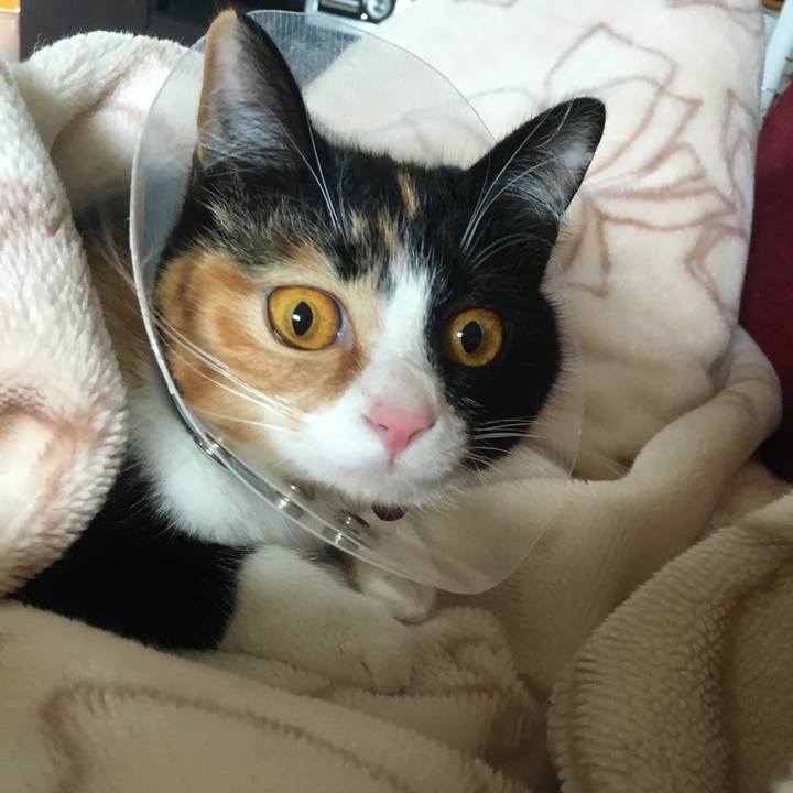 0f6093cd 5321 4b7a b54a b48e0f1a5b1b