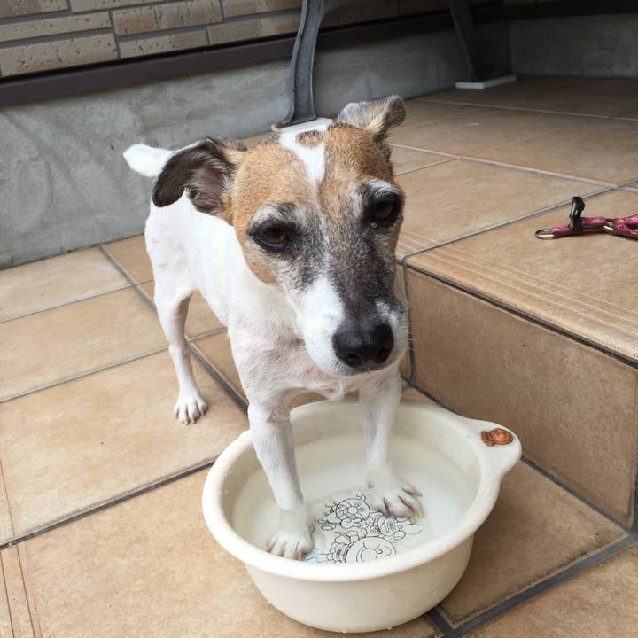 0f60b4f9 5aa9 4a9c a127 df76c04012f5