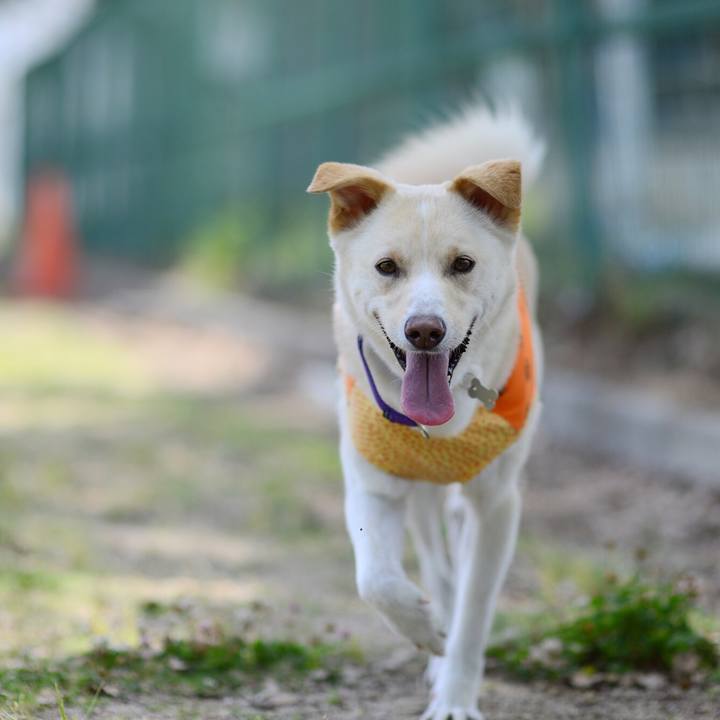 0f612115 c33e 4606 b797 a0d42289b25b