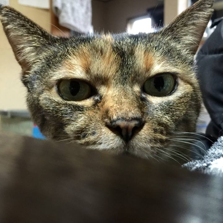 0f61350b 8552 4d40 a608 11e4d57bda05