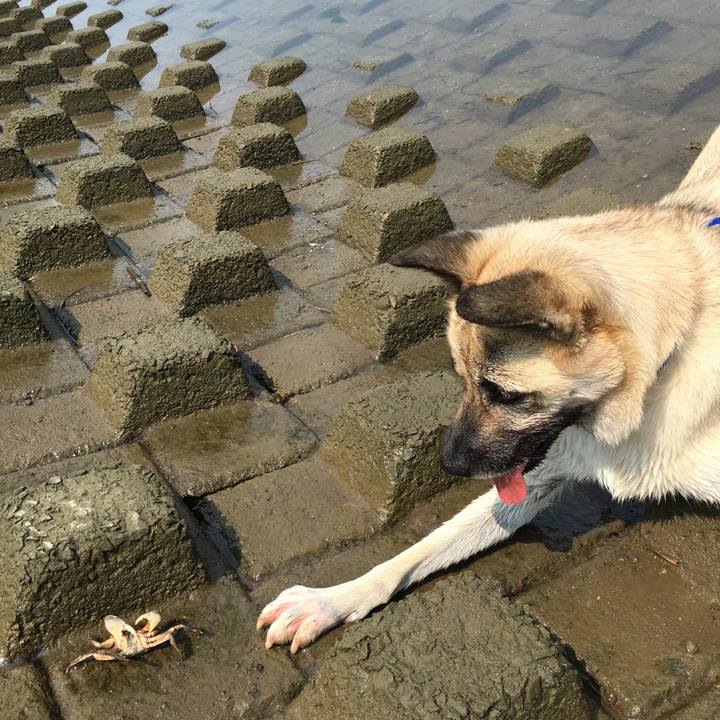 0f61532e 0471 403e ba80 aec18b5c1be8