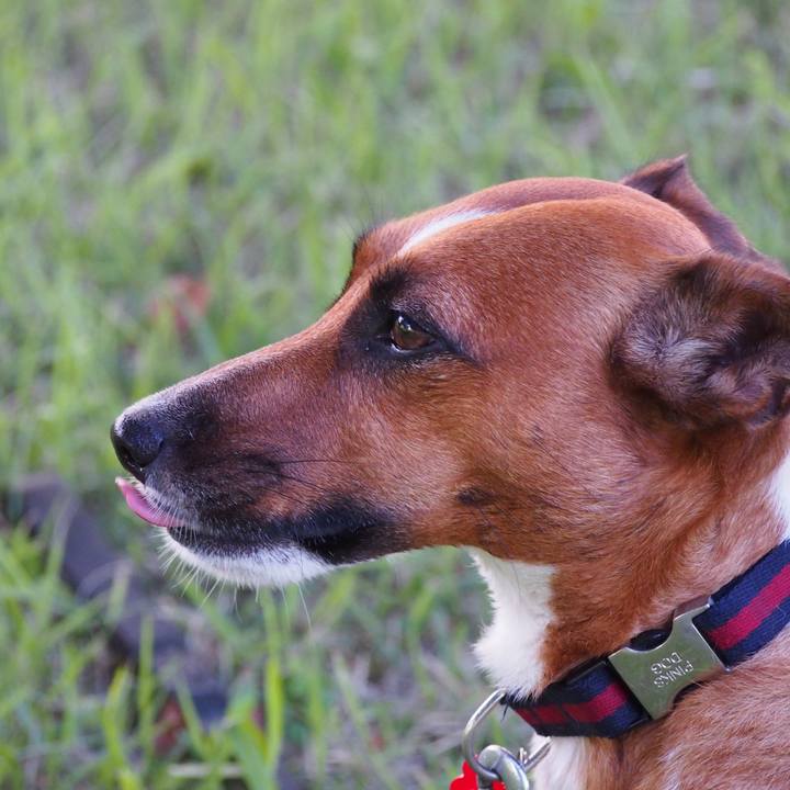 0f6168ad e764 4fd2 b693 c302b4e897ee