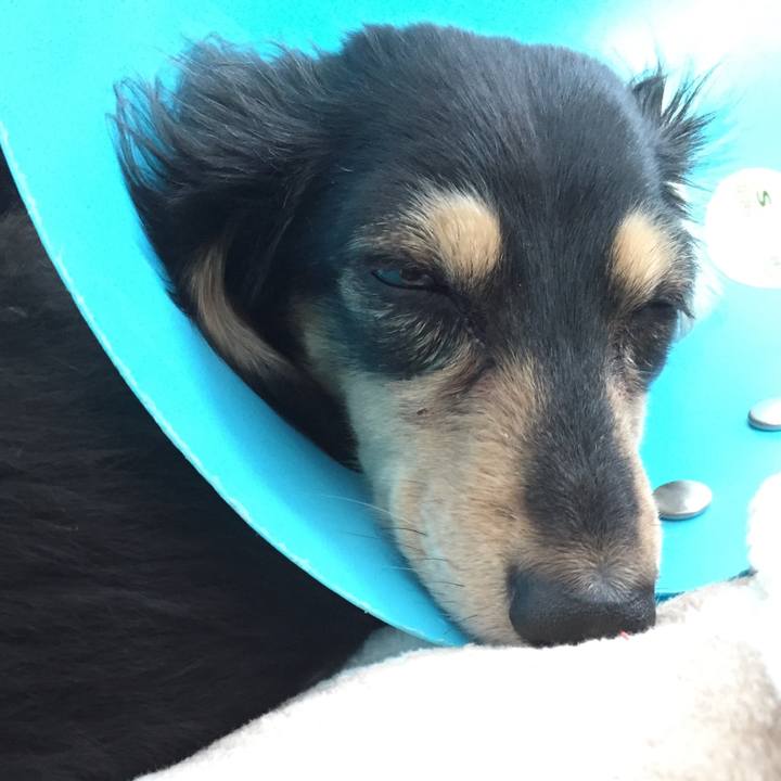 0f618704 62f3 492e 9d00 ec2632119db5