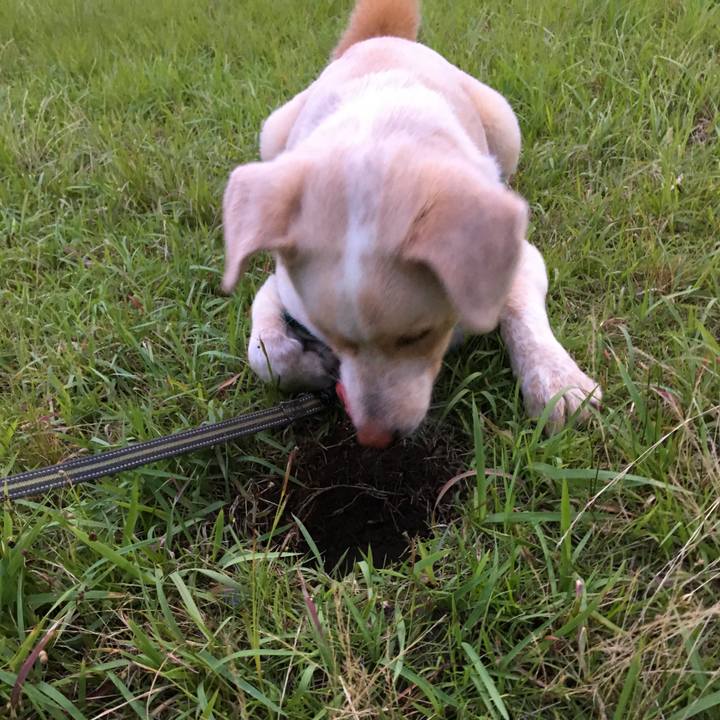 0f6289e4 4f34 4148 aeda 920359c449f9