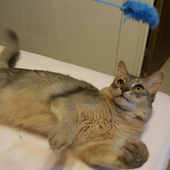 0f628c42 9934 4bce 9638 db66817c2485