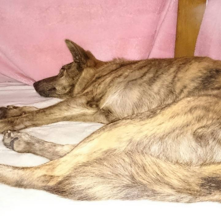 0f629300 9a3e 4293 be29 9f5400816c93