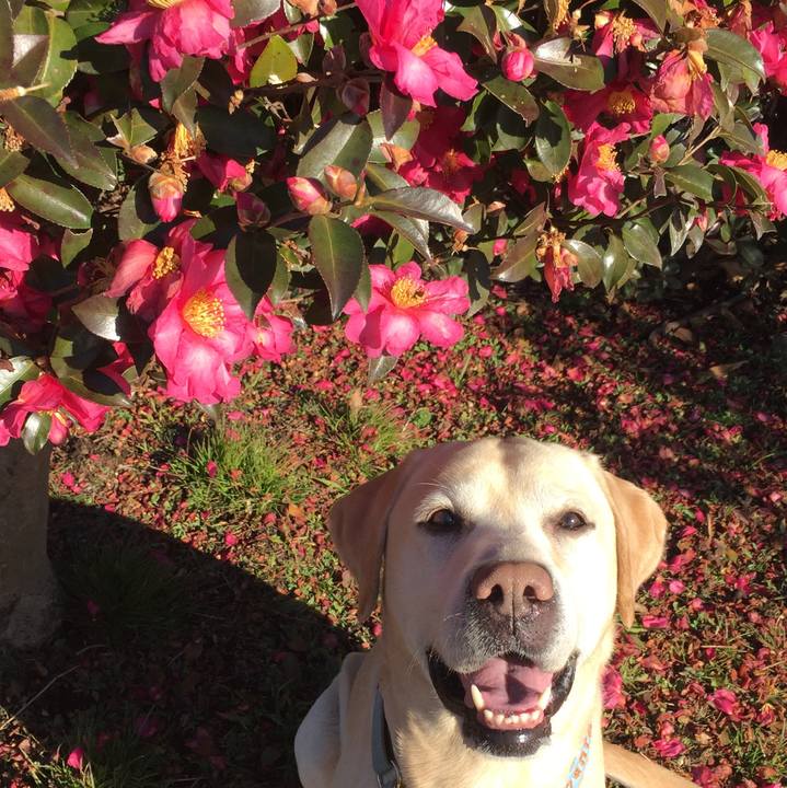 0f62ef49 de34 4851 aaf8 5e00e2372931