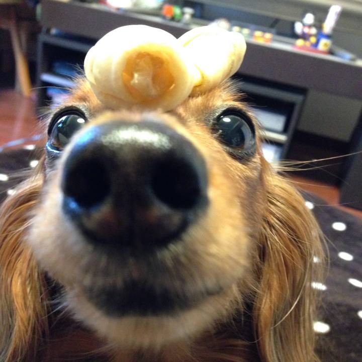 0f633ca4 5c1b 47e7 a9c7 b4b820a7b0fe