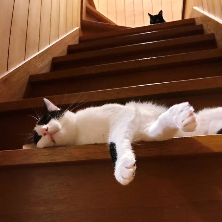 0f634a28 7b63 4728 a9d7 c178d83a5240