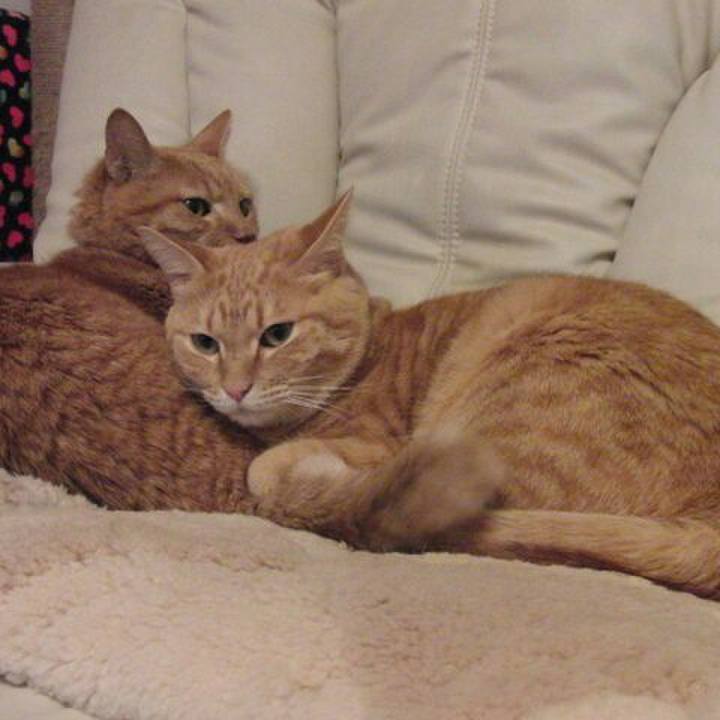 0f636678 8a8a 48a0 a0f9 c54605e81ed2